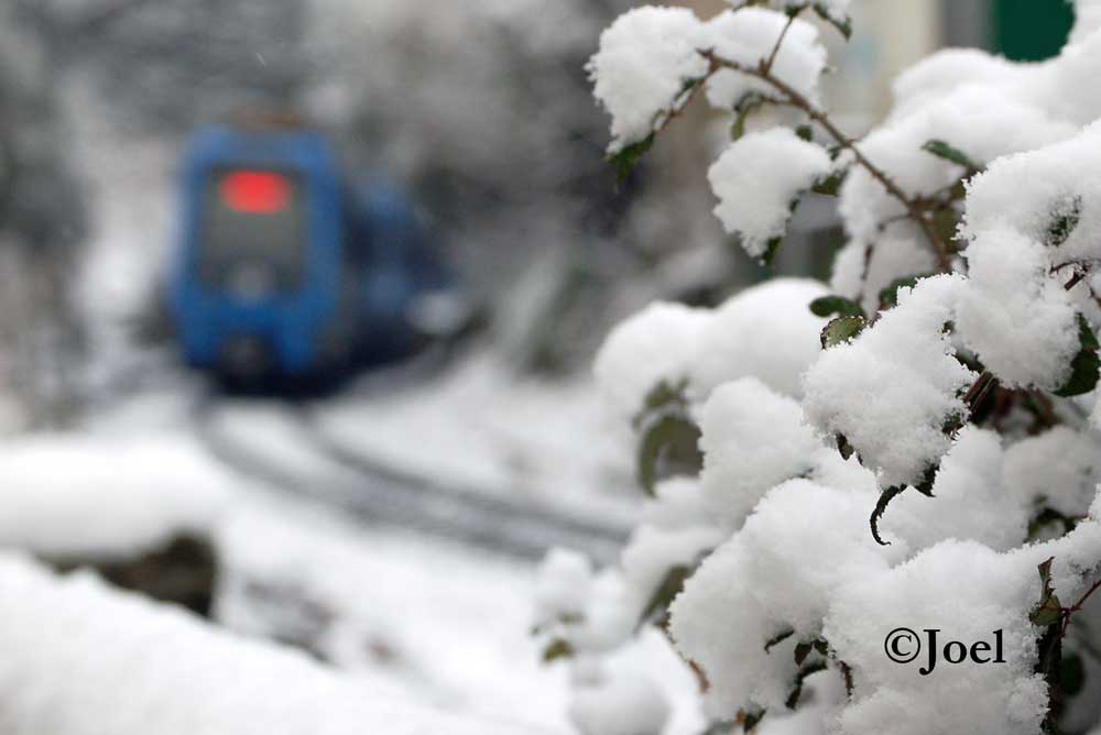 Topo en Irun bajo la nieve
