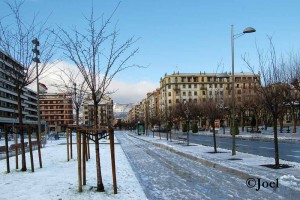 Jardínes Luis Mariano nevados