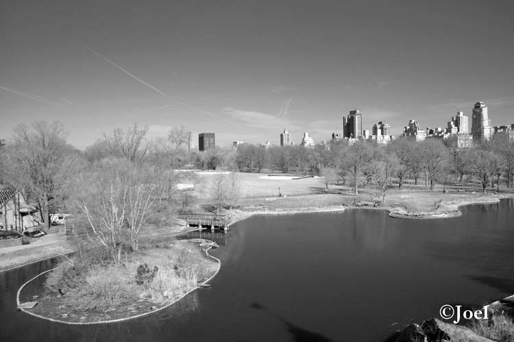 Central Park