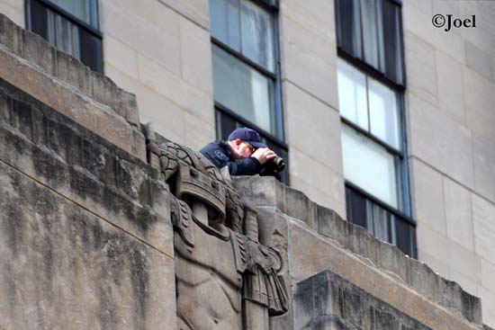 Vigilancia