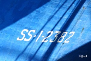Matrícula sobre azul