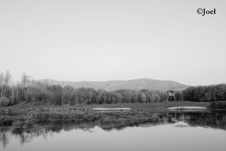Laguna