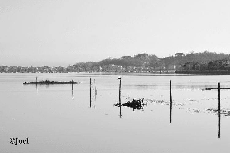 Bahía del Txingudi