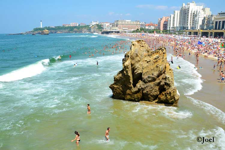 Roca