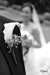 Detalle floral