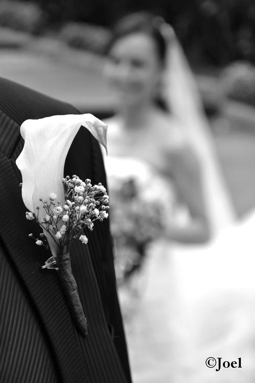 Detalle floral