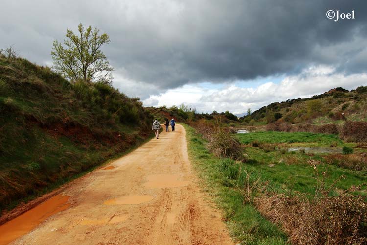 Camino