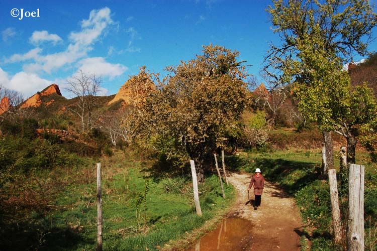 Sendero