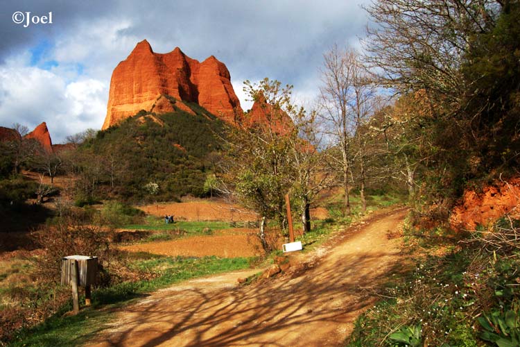 Roca