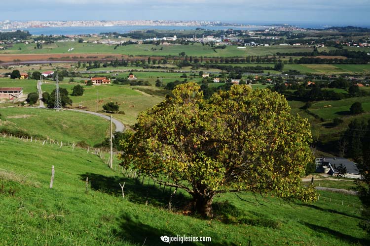 Peña Cabarga 