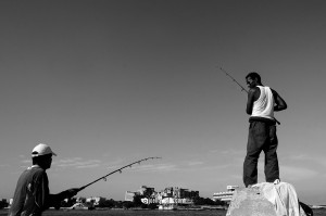 En busca de unos peces